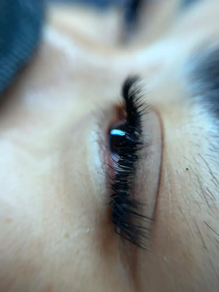 Eyelash Extension, photo 2 of 3